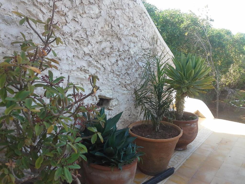 La Maison Essaouira Hotel ภายนอก รูปภาพ