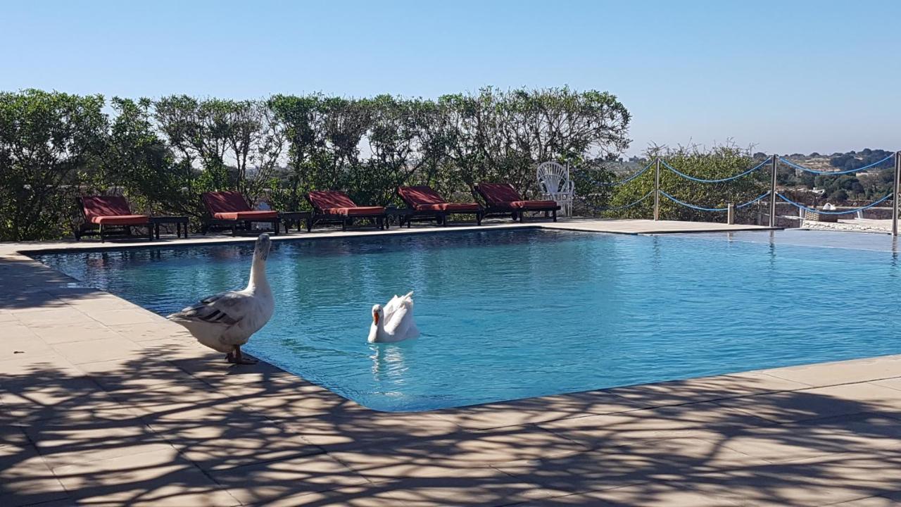 La Maison Essaouira Hotel ภายนอก รูปภาพ