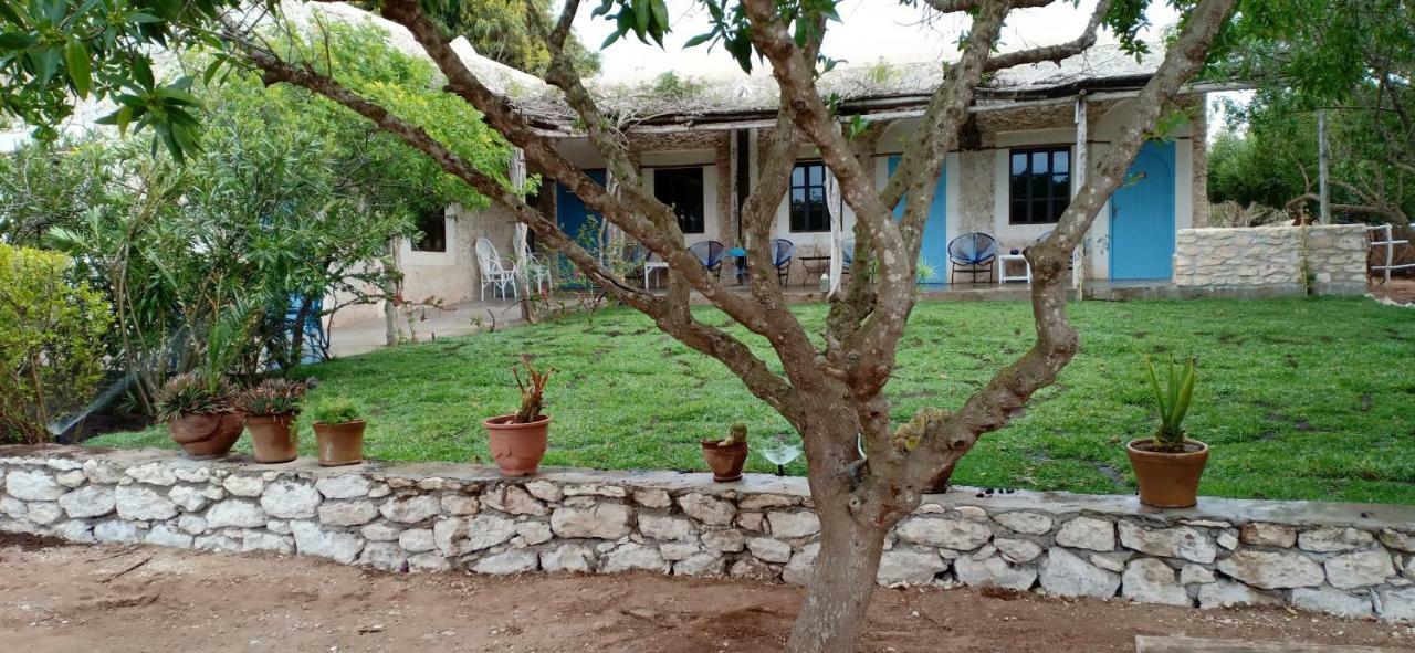 La Maison Essaouira Hotel ภายนอก รูปภาพ